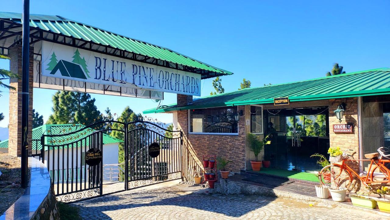 Blue Pine Orchards - Villas Lansdowne Bagian luar foto